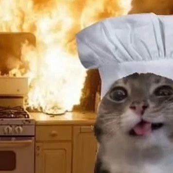 I cook.