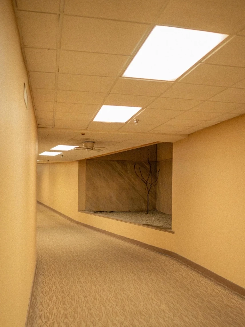 Liminal space (Backrooms) thumbnail