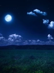 Blue night thumbnail