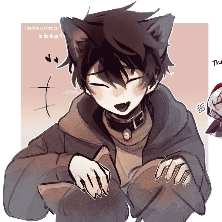 Nico Di Angelo