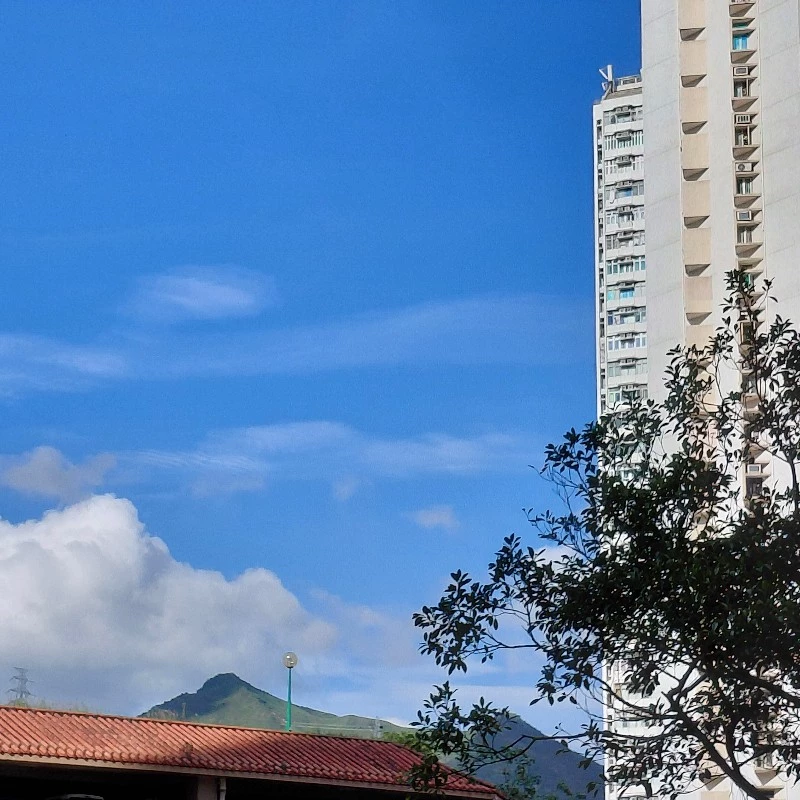 小七