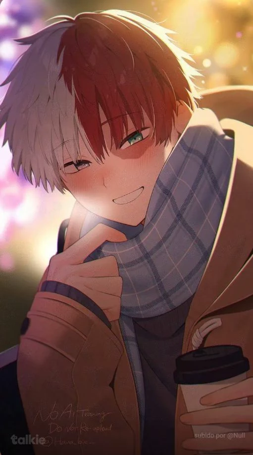 Shoto Todoroki  thumbnail