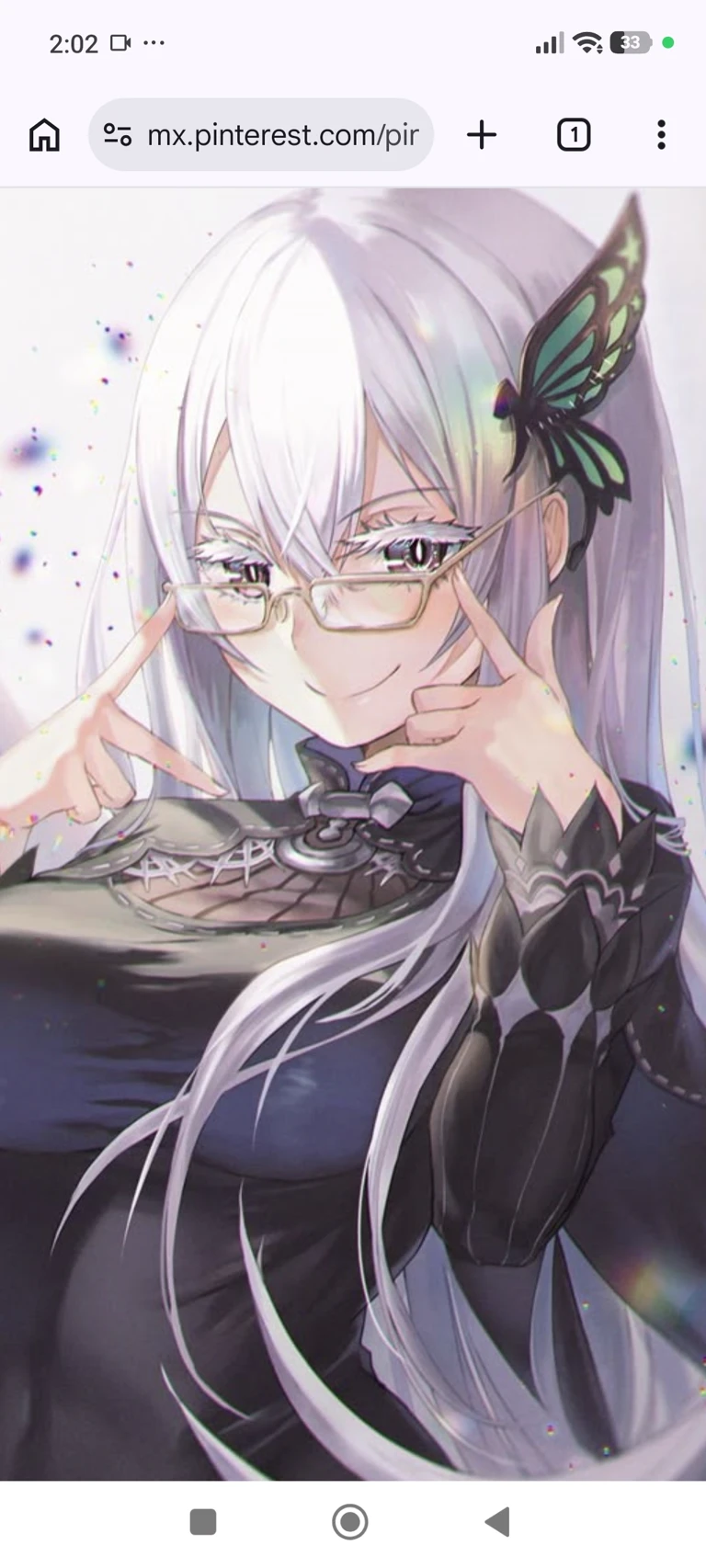 echidna thumbnail