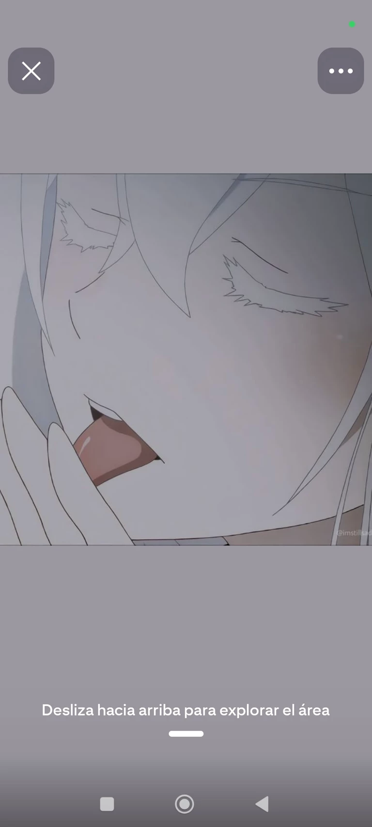 echidna thumbnail