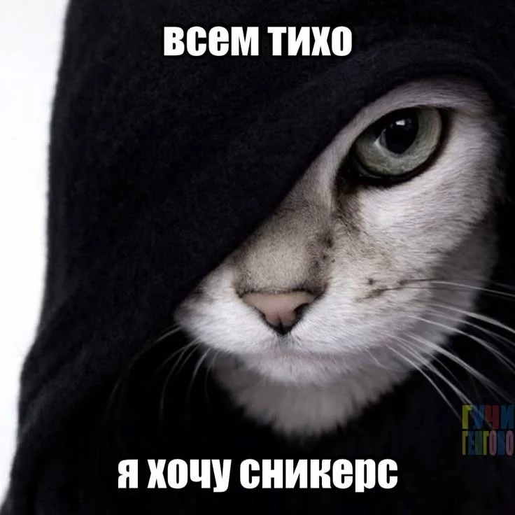 P.B.