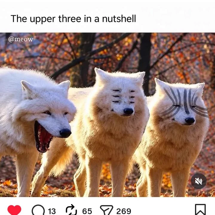 Trinity of the Upper Moon: Wolves (Kokushibo, Doma, Akaza) thumbnail