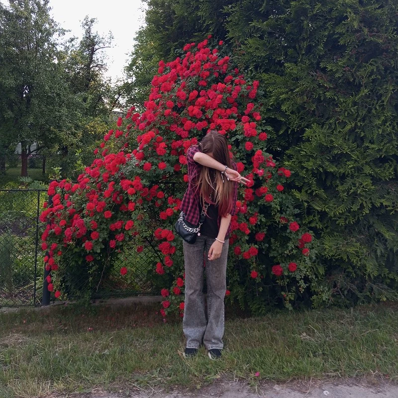 Санні