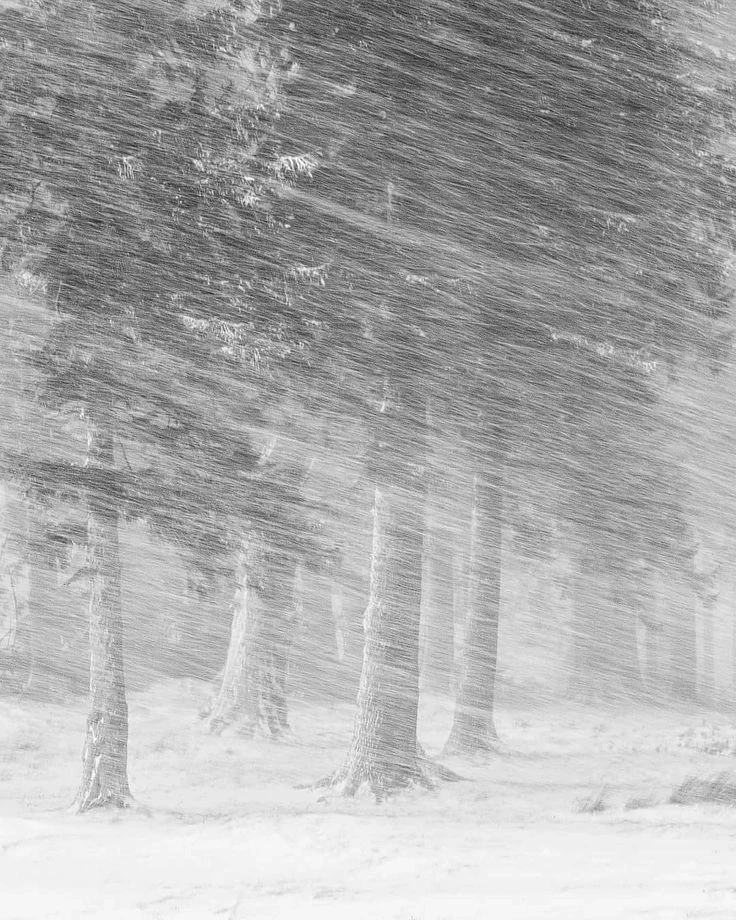 Snow storm ❄️🌨️ thumbnail