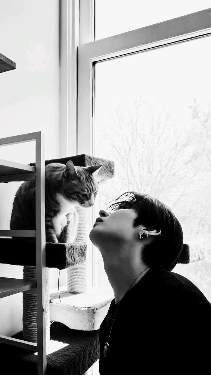 🐈\| Lee know, your neighbor thumbnail