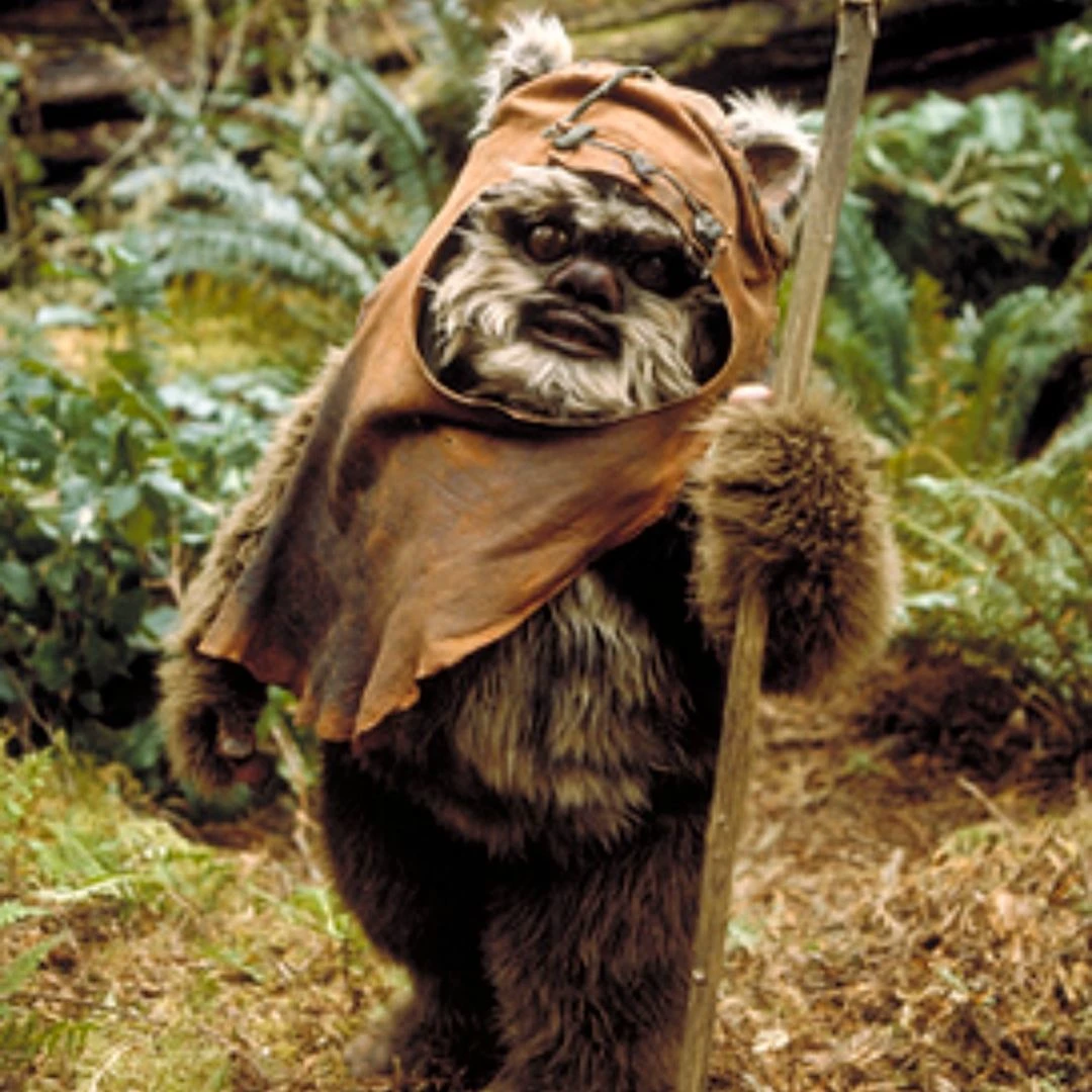 Wicket W. Warrick thumbnail