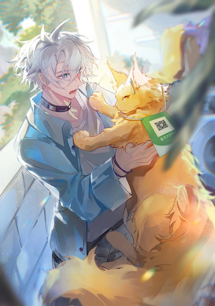 Myphai thumbnail