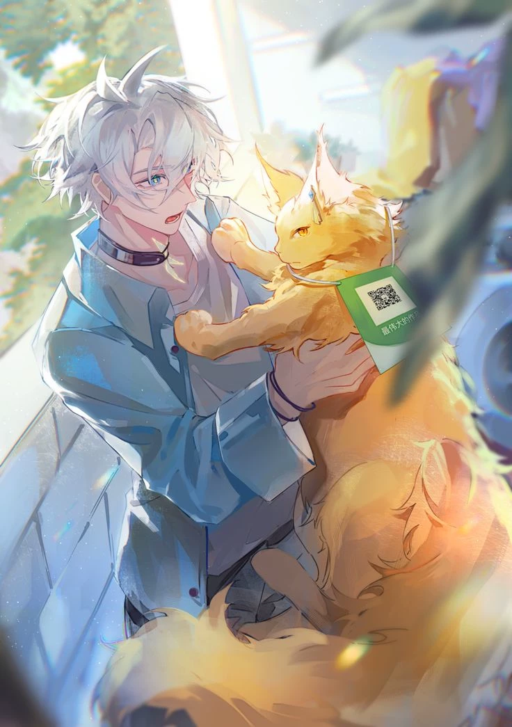 Myphai thumbnail