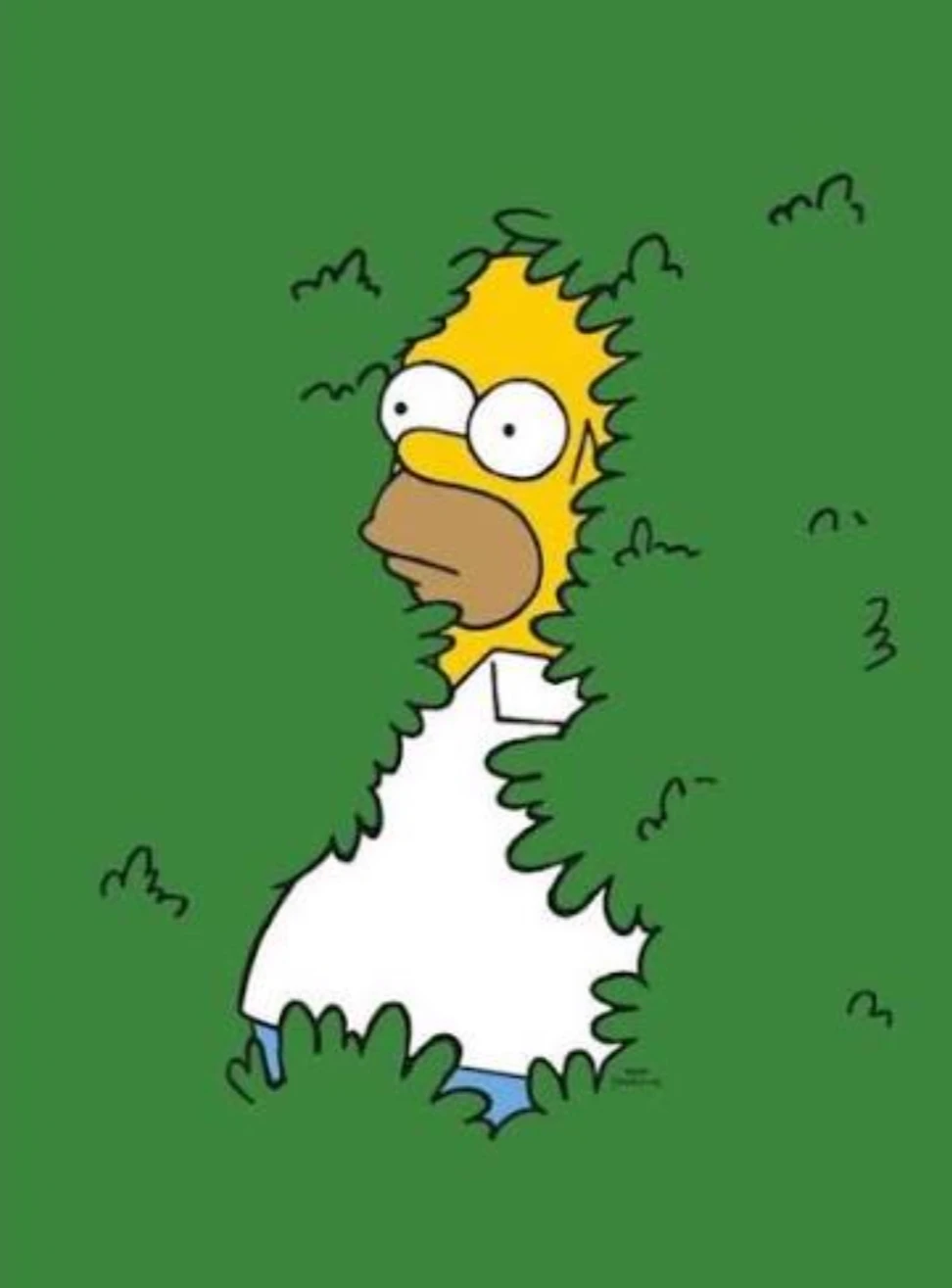 homer thumbnail