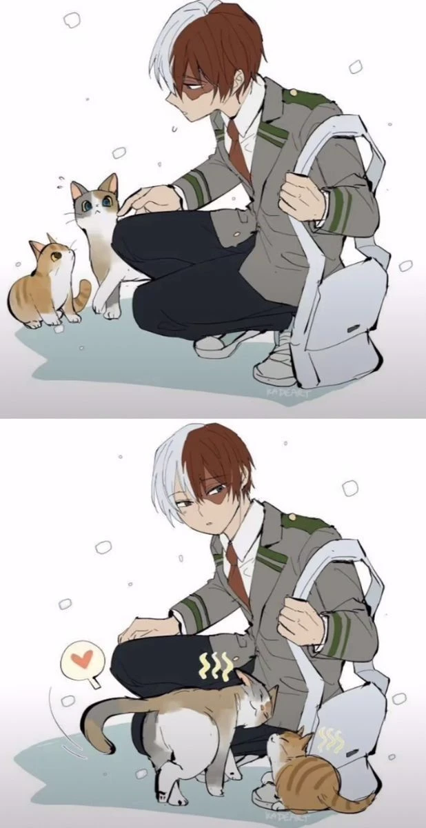 SHOTO TODOROKI thumbnail