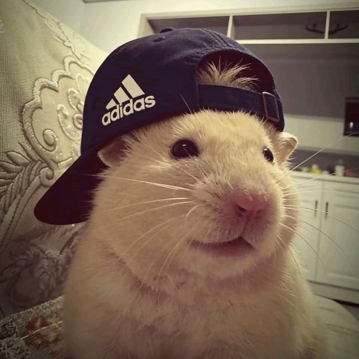 Ka0Rukoo