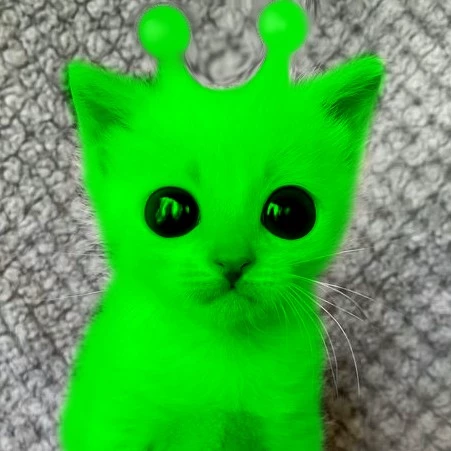 😼🤙