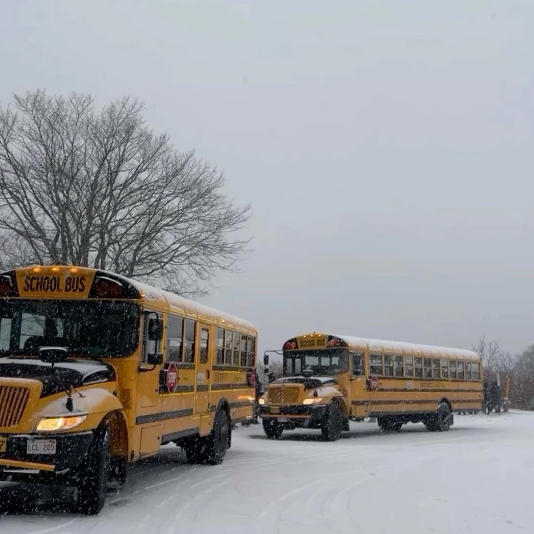 School (winter) thumbnail