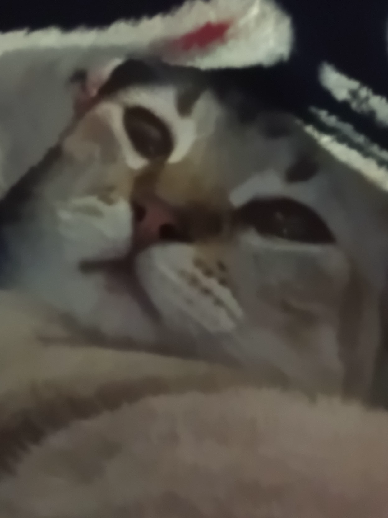 obanas thumbnail