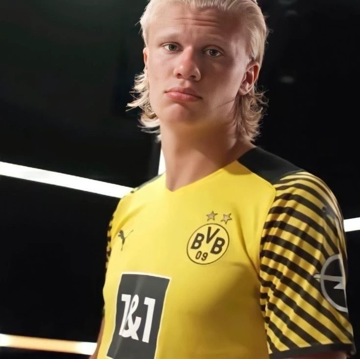 Erling Haaland. thumbnail