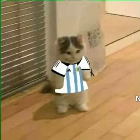 cat thumbnail