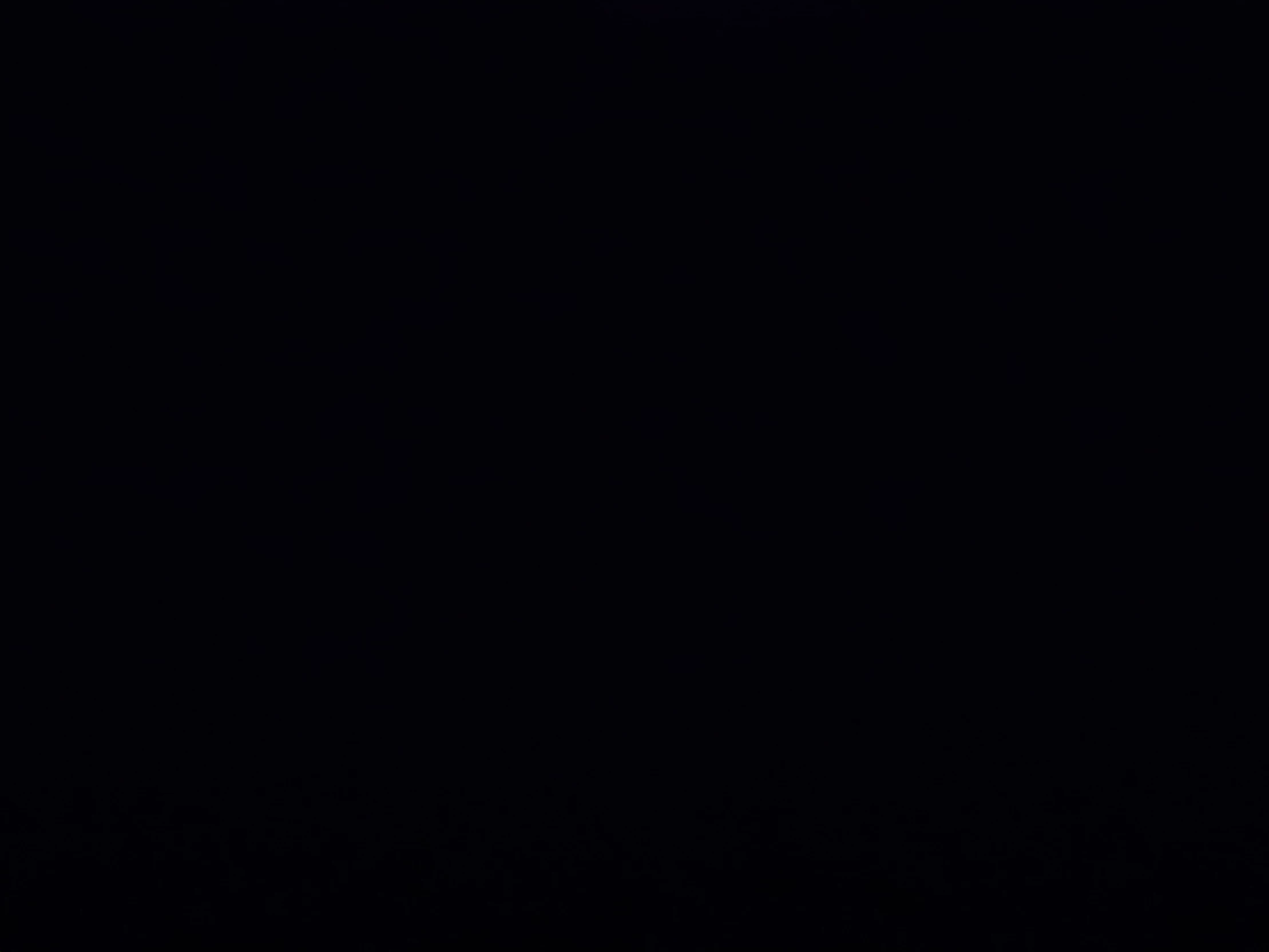 Nya,PIXAL,and sora thumbnail