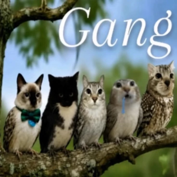 friend group thumbnail