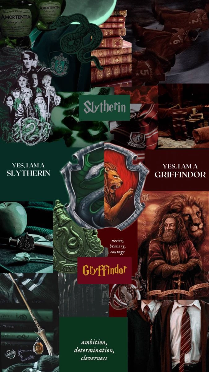 slytherin and gryffindor thumbnail