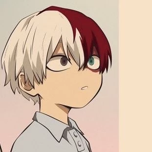 🔥  Shoto Todoroki  ❄️ thumbnail