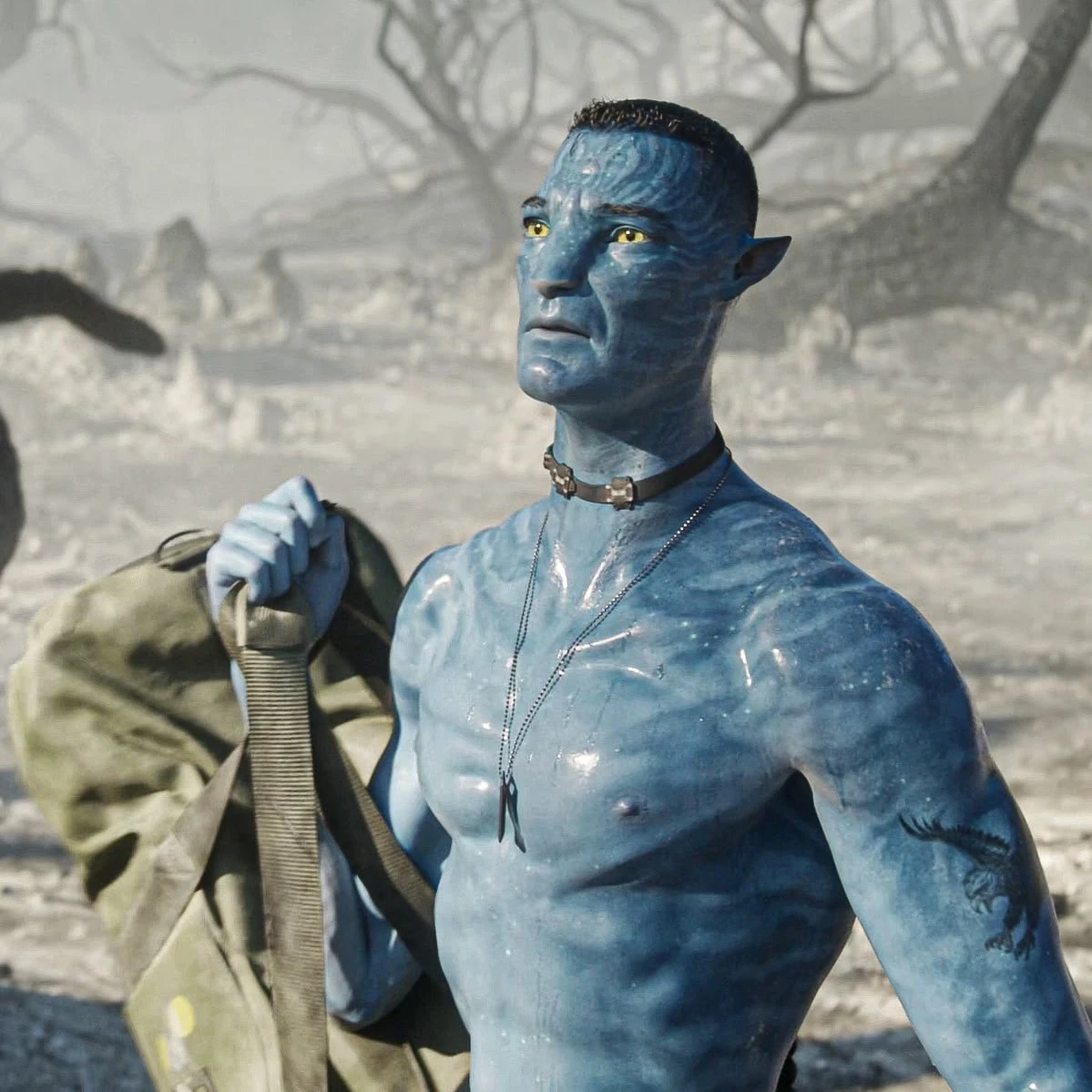 Colonel Quaritch thumbnail