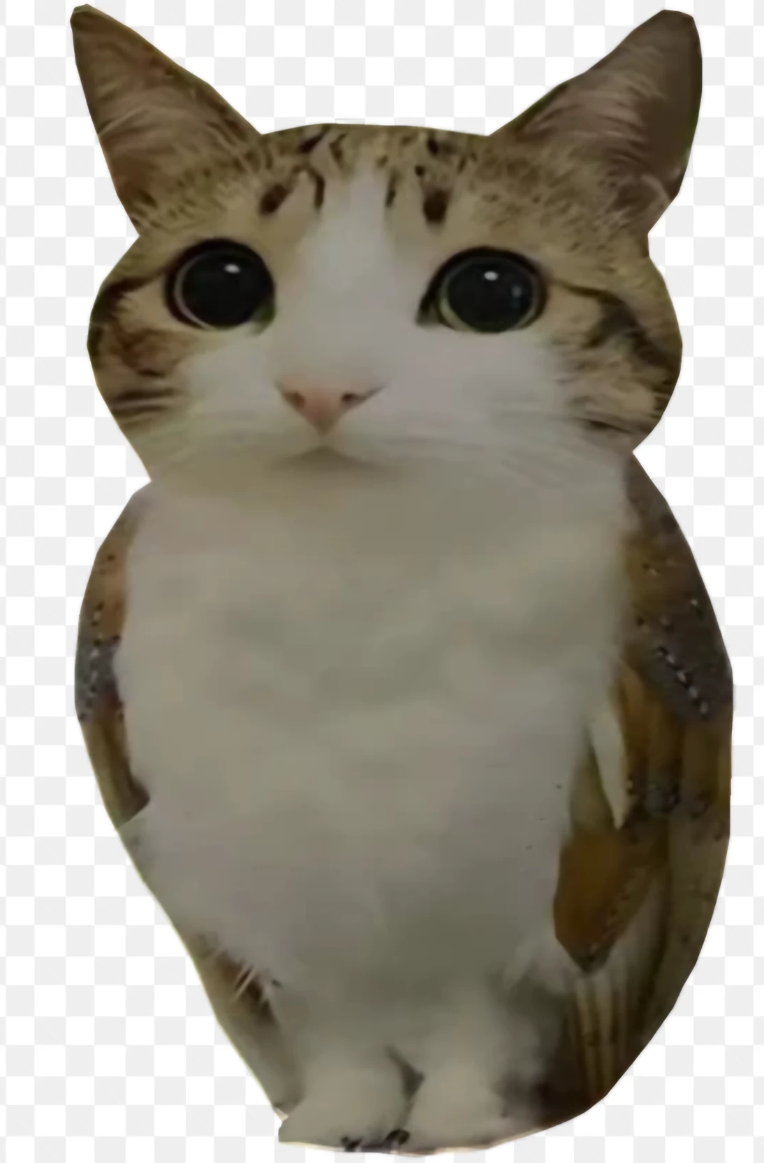 the monster thumbnail