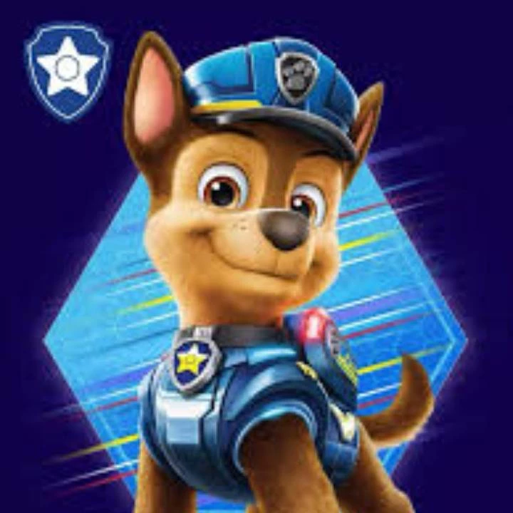 paw patrol fan 2006