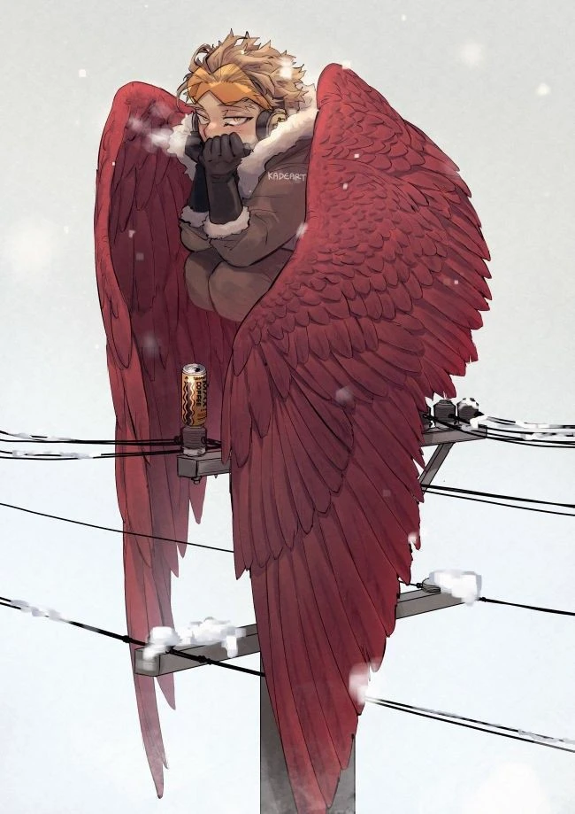 Hawks thumbnail