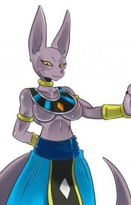 Miss Beerus thumbnail