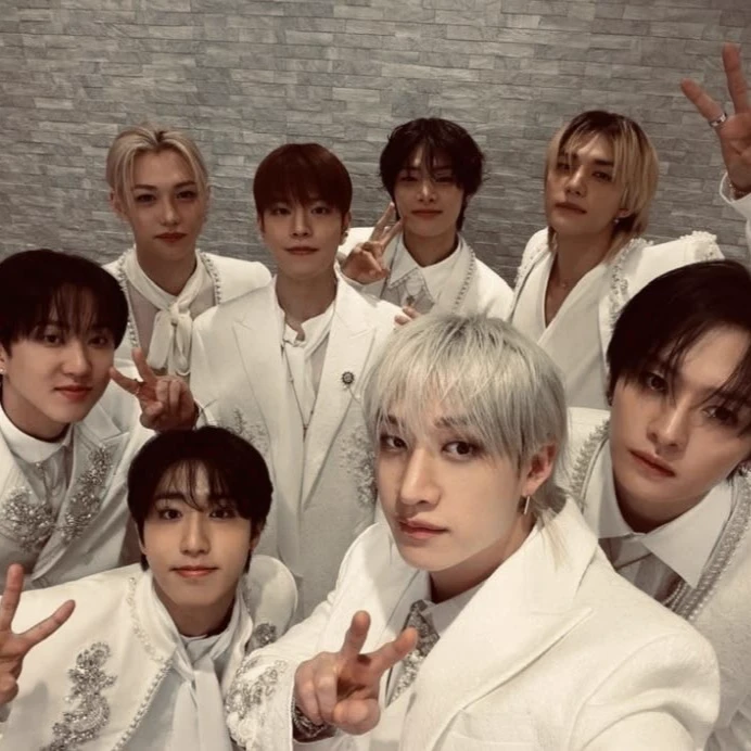 🎤stray kids🎤 thumbnail