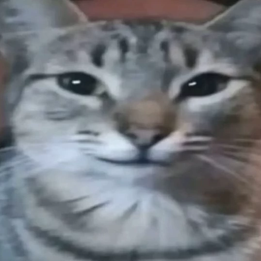 kiki