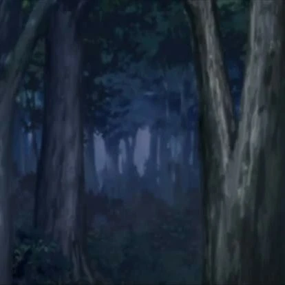 MHA – Forest Training. thumbnail