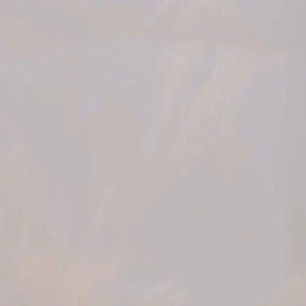 Ray