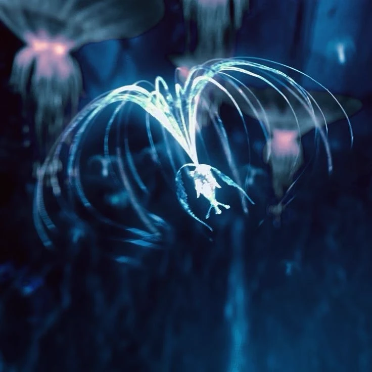 Avatar! thumbnail