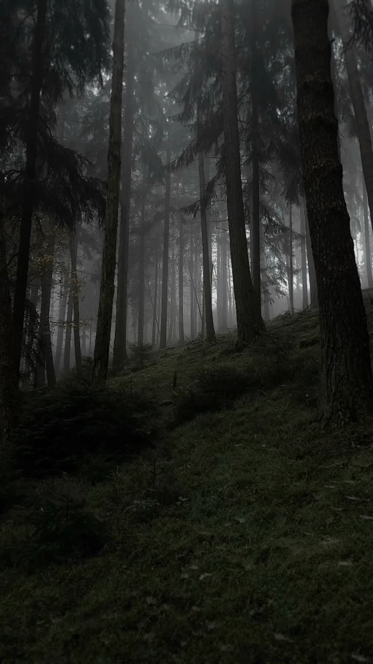 Fantasy World thumbnail