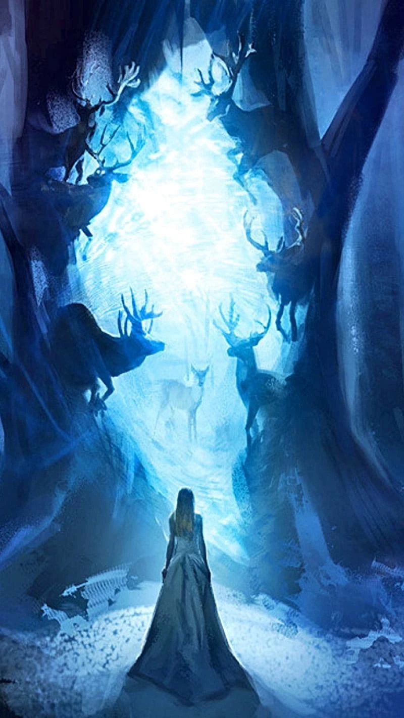 The house of dragons retelling thumbnail