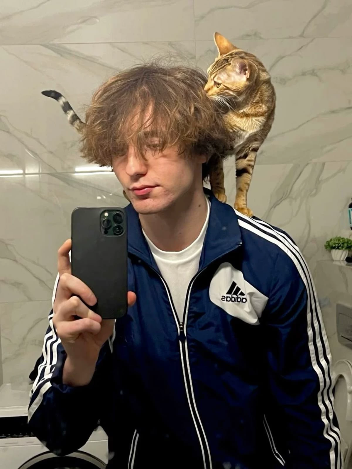 Danone thumbnail