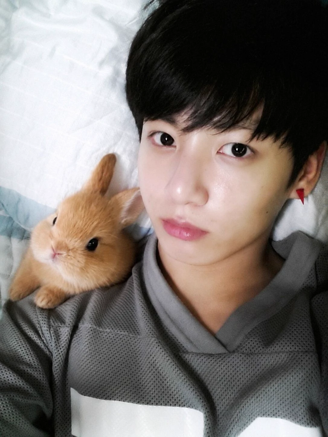𝒞bunny 𝒥ungkook thumbnail