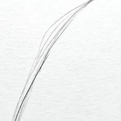 zafi