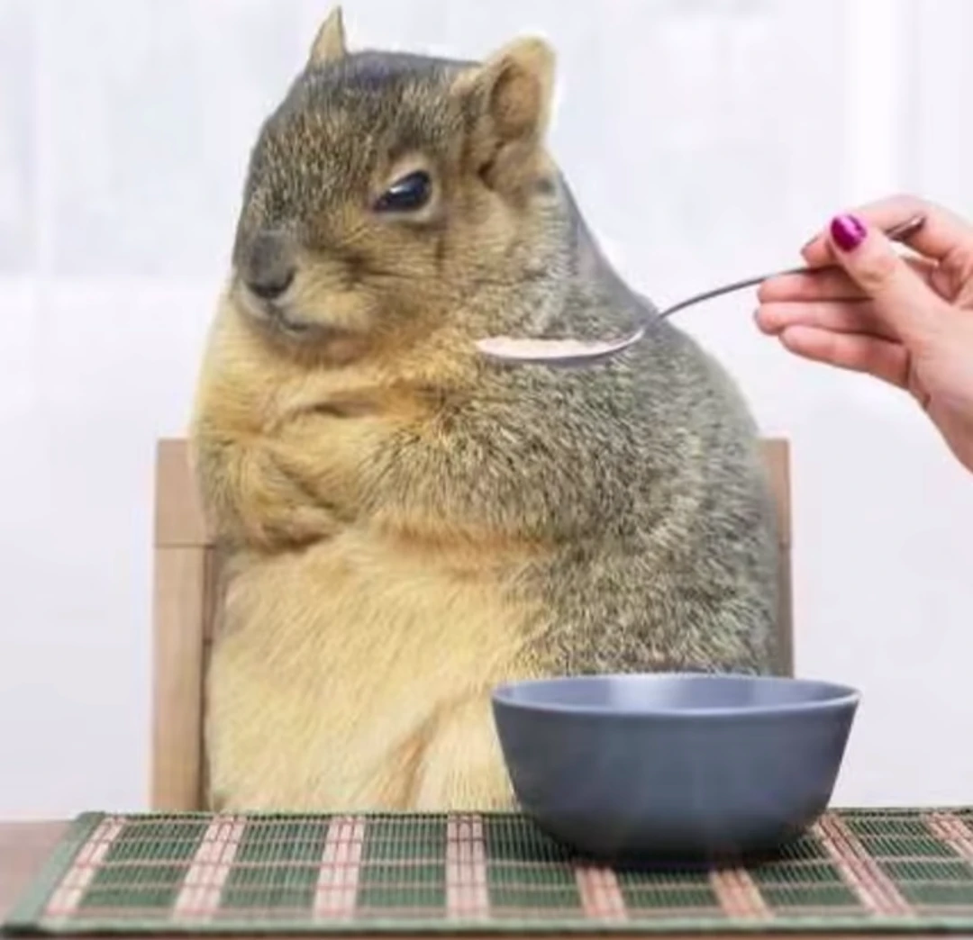 Don Silvestre the squirrel thumbnail