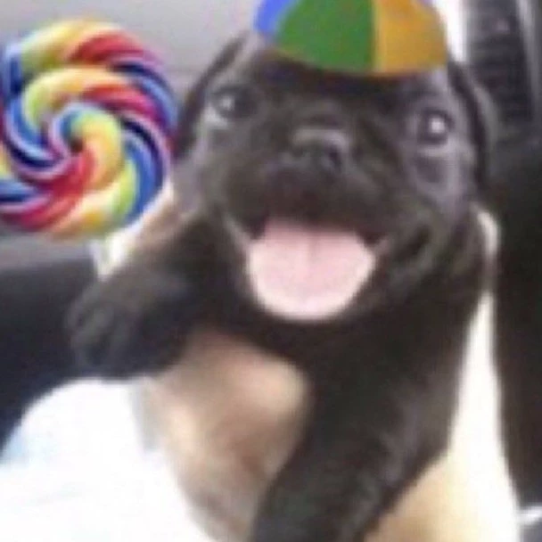 pipppiii
