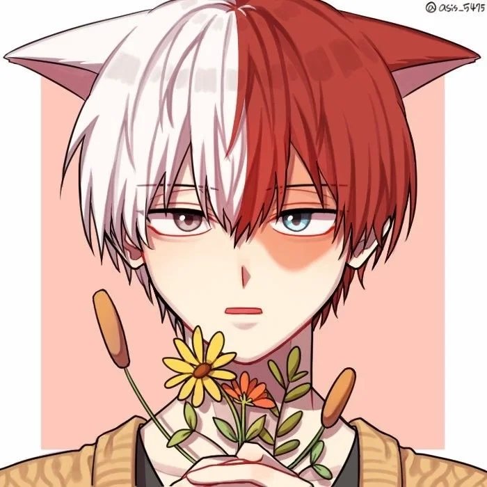 Cat!Shoto Todoroki thumbnail