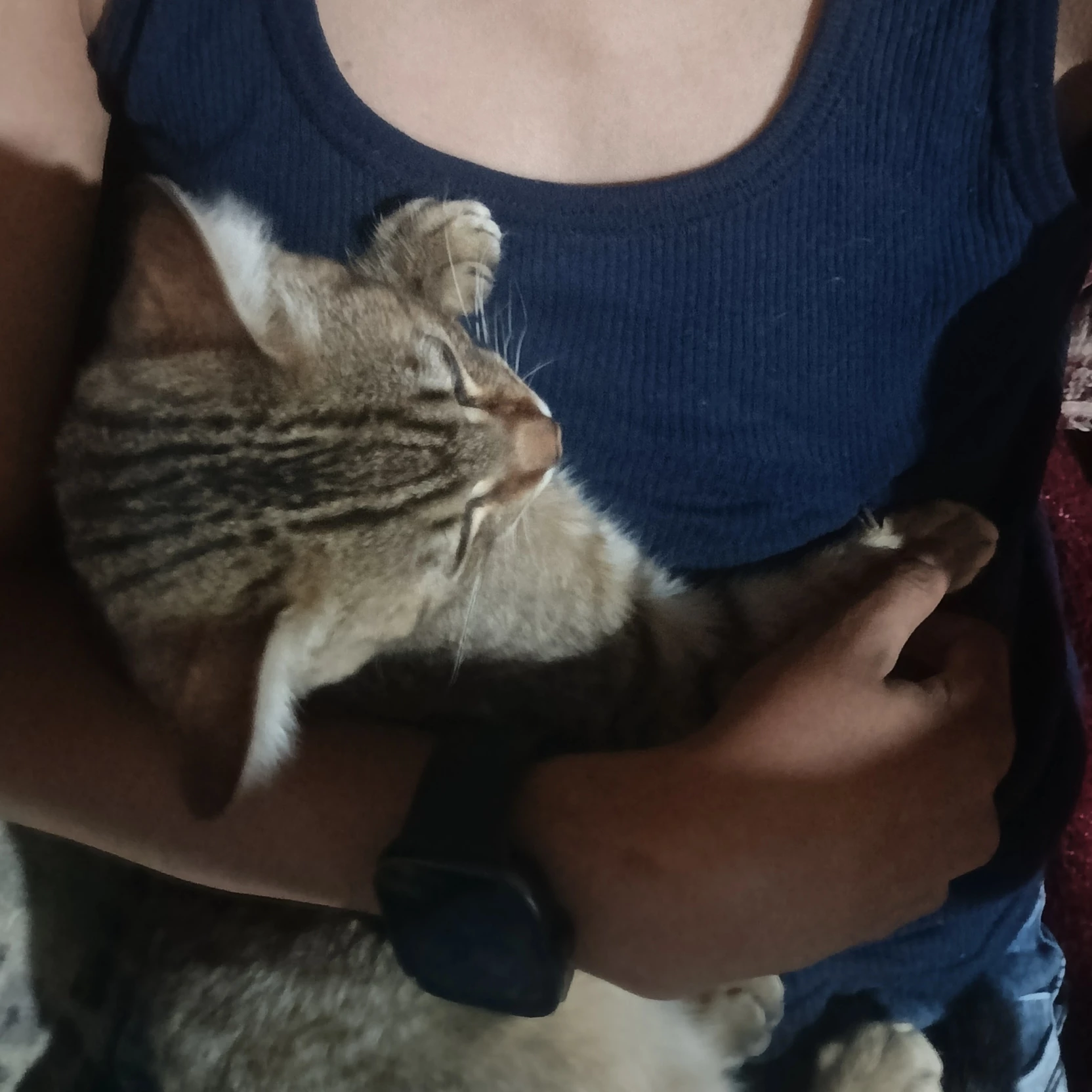 Juan