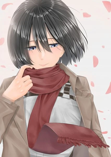 Mikasa thumbnail