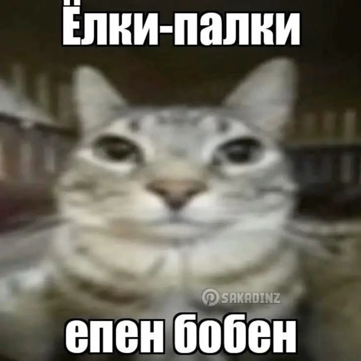 никита