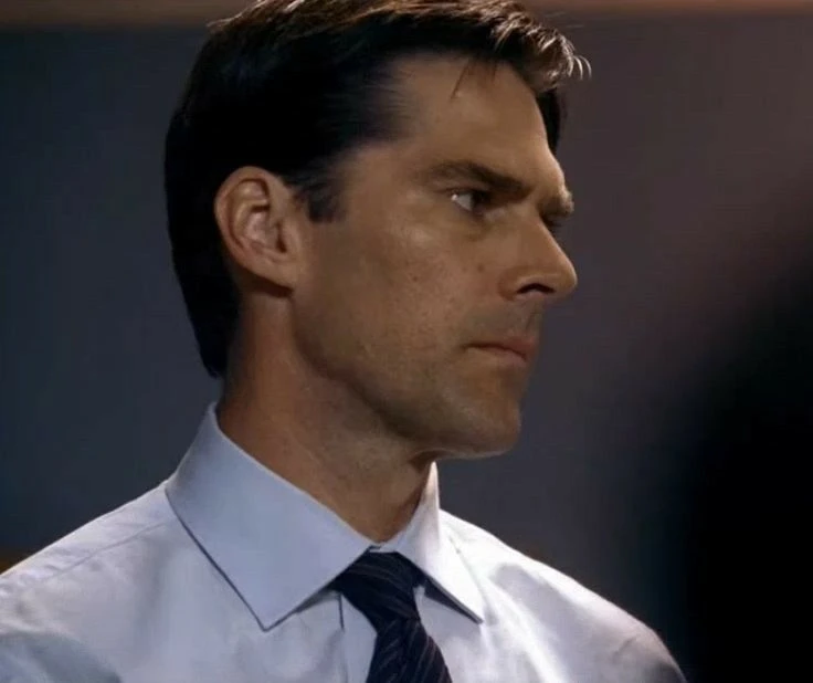 Aaron Hotchner thumbnail